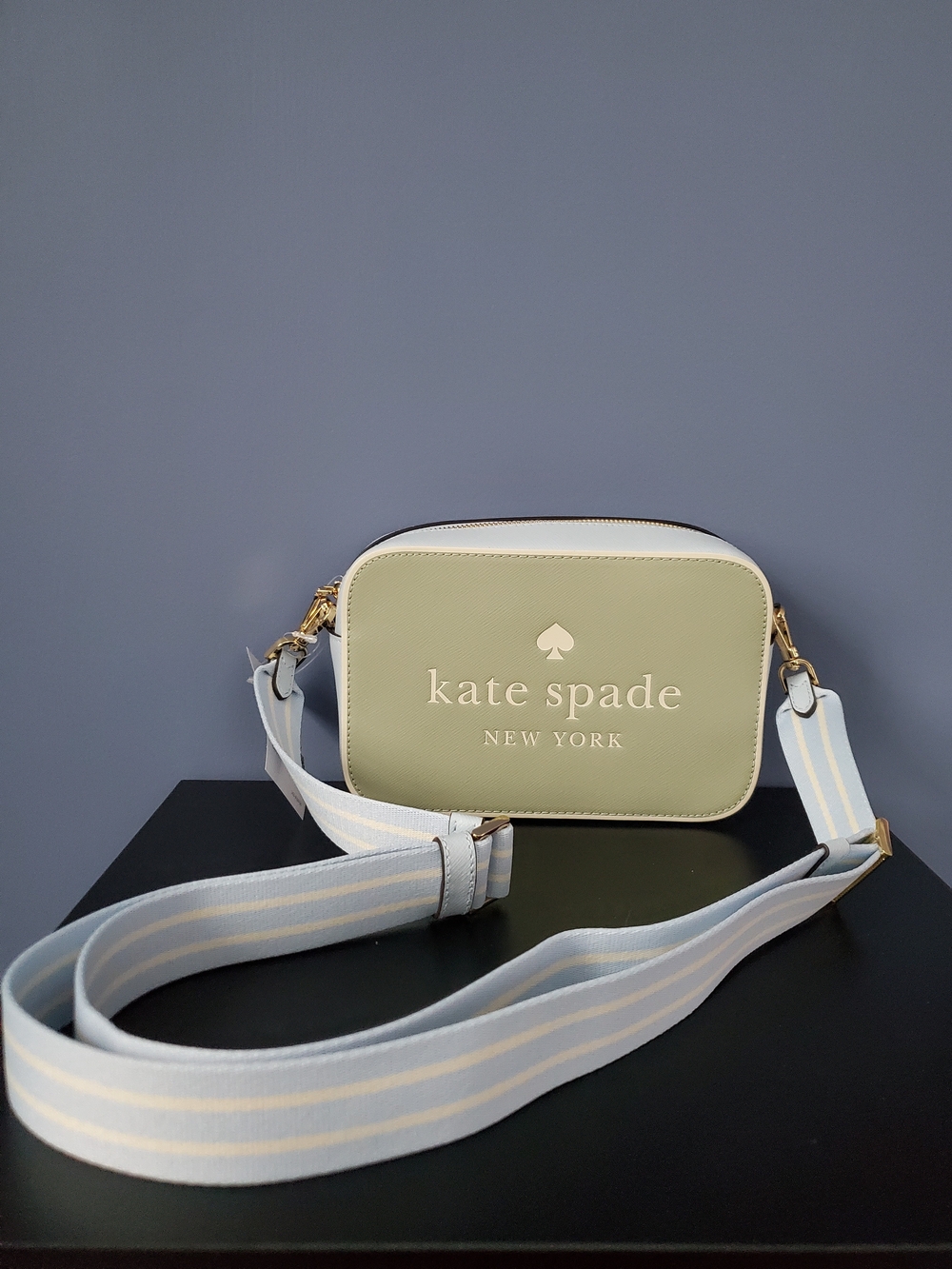kate spade green, blue & white Crossbody Camera Bag with Striped Strap. NWT